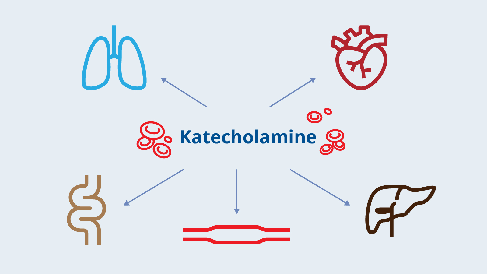 ME/CFS könnte Folge einer bleibenden Immunreaktion nach einer Infektion sein